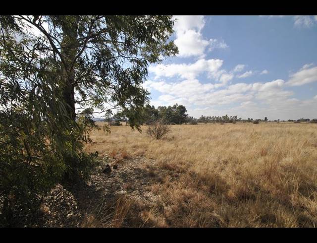 FARM FOR SALE IN EYE OF AFRICA